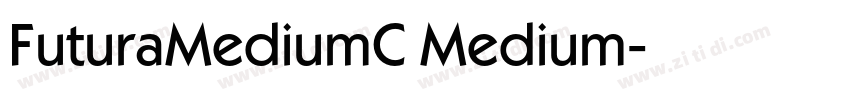 FuturaMediumC Medium字体转换